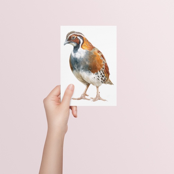 Watercolor Quail Wall Art Print, Unframed - Vibrant Nature-Inspired Home Decor - Picture 5 of 6